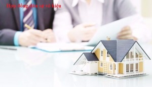 NHỮNG ĐIỀU CẦN BIẾT KHI KÝ KẾT HỢP ĐỒNG ĐỂ KHÔNG VI PHẠM QUY ĐỊNH CỦA PHÁP LUẬT